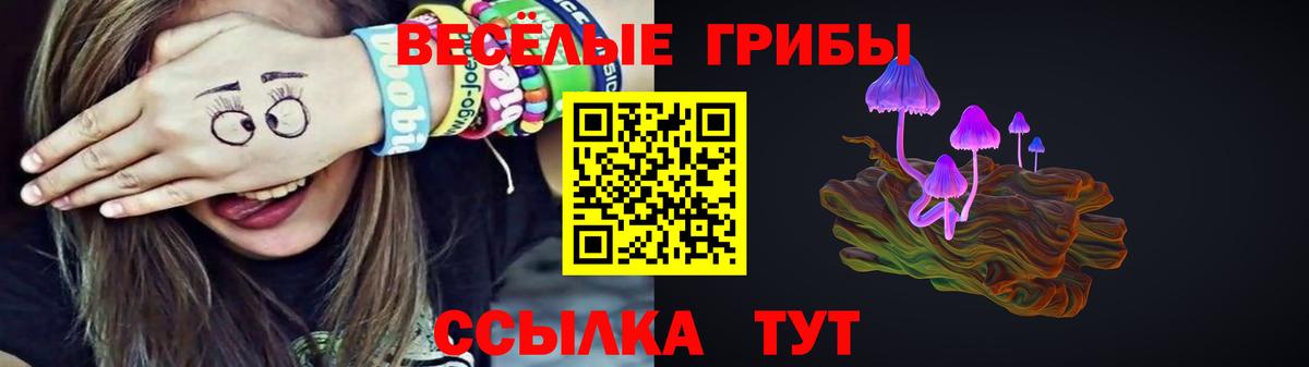 Галлюциногенные грибы мицелий  Псилоцибиновые грибы Psilocybine cubensis  Осинники  Вход с VPN 